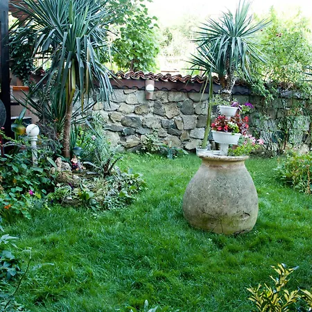 Dom Mladenovi 3* سوزوبول