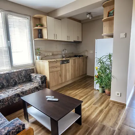 Dom Mladenovi 3* سوزوبول