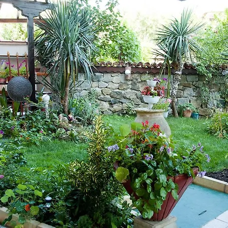 بيت ضيافة Dom Mladenovi سوزوبول