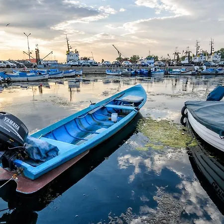 بيت ضيافة Dom Mladenovi 3*