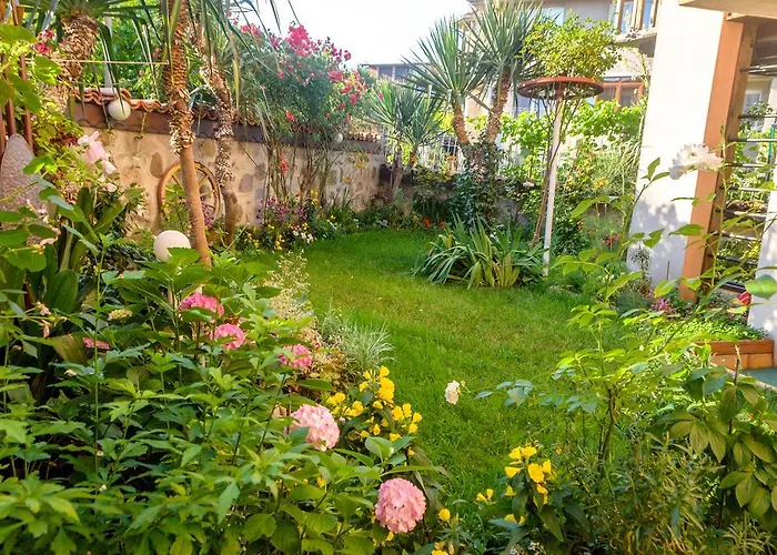 Guest house Dom Mladenovi