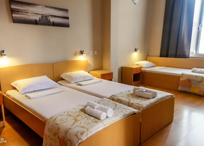 Guest house Dom Mladenovi 3*