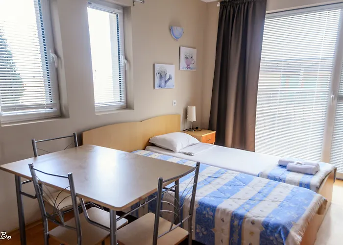 Guest house Dom Mladenovi 3*