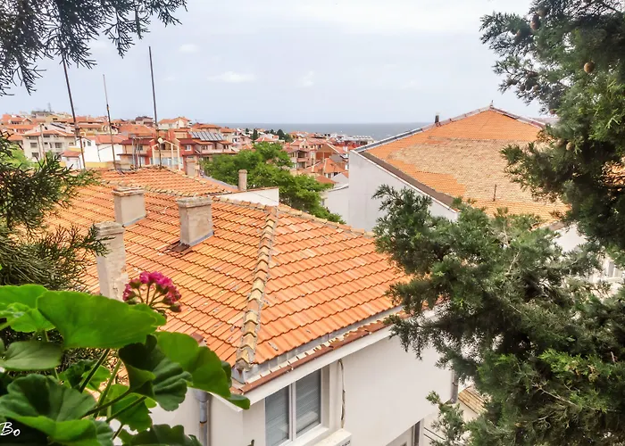 Dom Mladenovi Guest house 3*