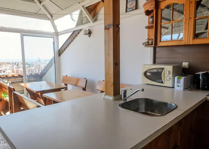 Guest house Dom Mladenovi 3*