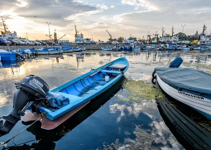 Guest house Dom Mladenovi 3*