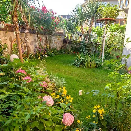 Guest house Dom Mladenovi