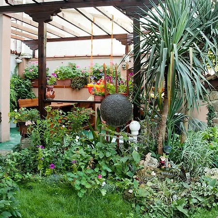 Gasthuis Dom Mladenovi 4*